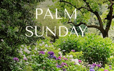 Into the Garden – Palm Sunday