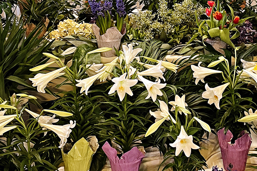 Altar Flowers and Lilies displayed at Faith Lutheran Church of McLean County