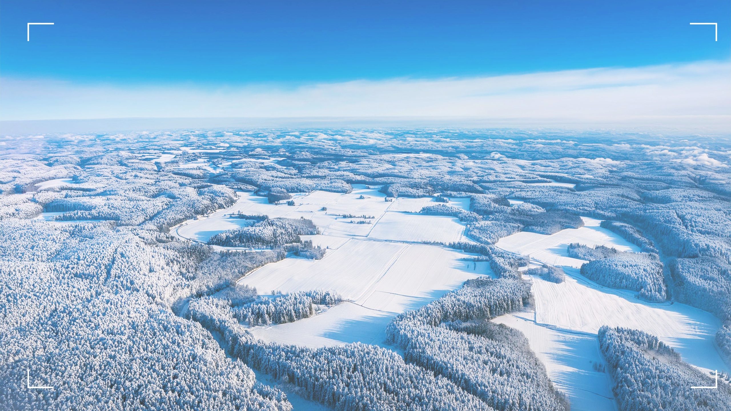 Sabbath rest image for Faith Lutheran Church of McLean County in Bloomington Illinois view of snow covered farmland with groves of evergreen trees