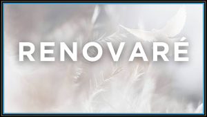 Faith Lutheran Church of McLean County in Bloomington, Illinois Sermon Series feathery graphic with dove image and text overlay - Renovare