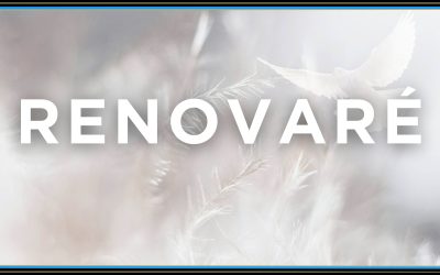John 6:32-40 – Renovaré
