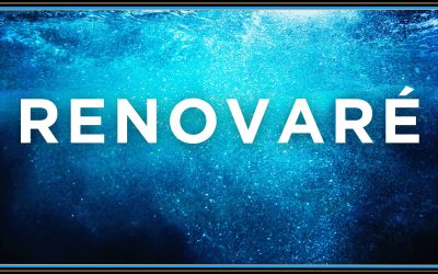 Colossians 1:15-20 – Renovaré