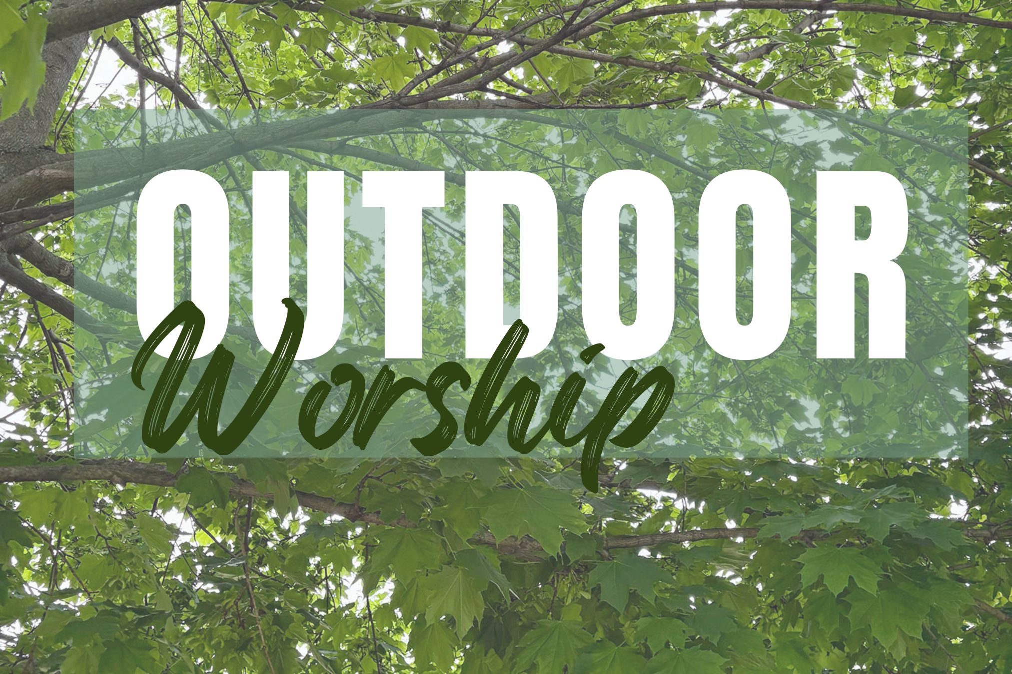 Outdoor worship announcement beginning May 25 features beautiful tree leaves and branches with text overlay for Faith Lutheran Church of McLean County in Bloomington Normal Illinois