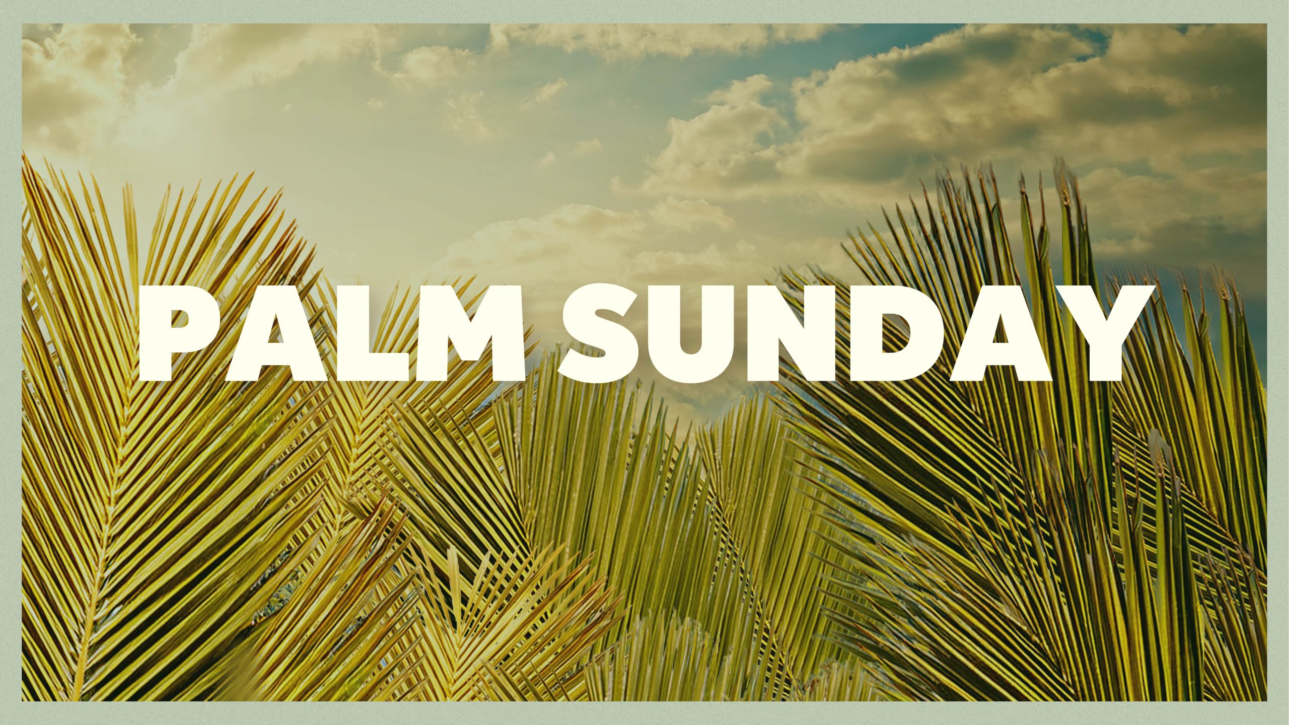 Palm Sunday overlay on photo of palm branches with blue sky in the background - Faith Lutheran Church of McLean County in Bloomington Illinois
